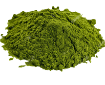 wheat-grass